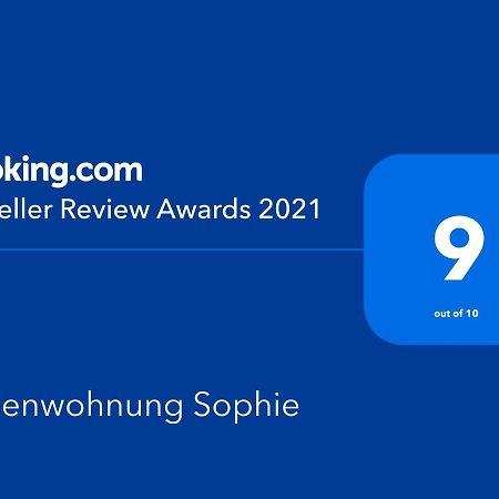 Ferienwohnungen Sophie Саарбрюкен Екстер'єр фото